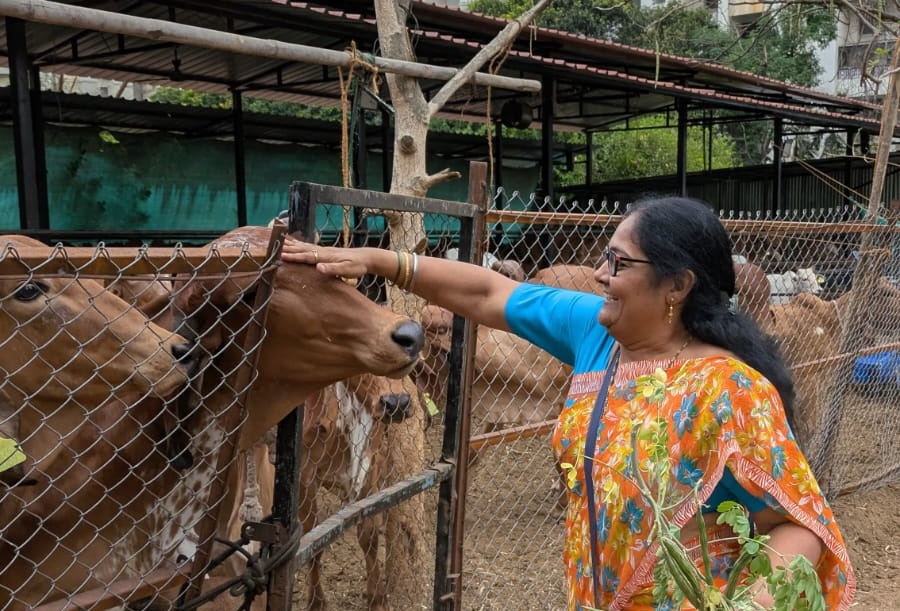 Aishwarya Ambike Gauseva Aishwarya Ambike Gauseva